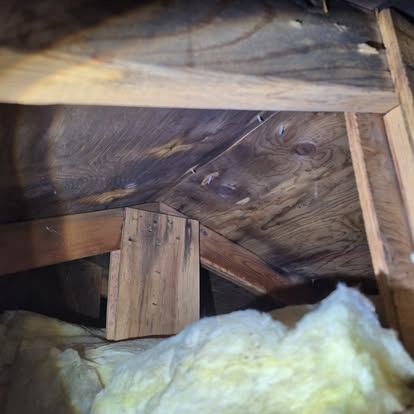 Attic cleaning and mitigation